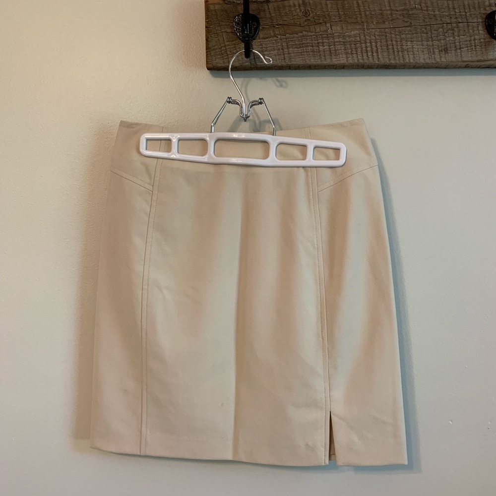 The Limited skirt